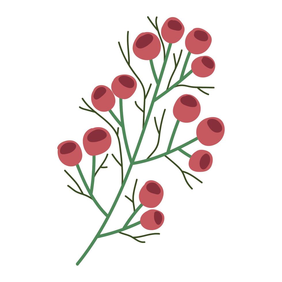 christmas branch berries vector