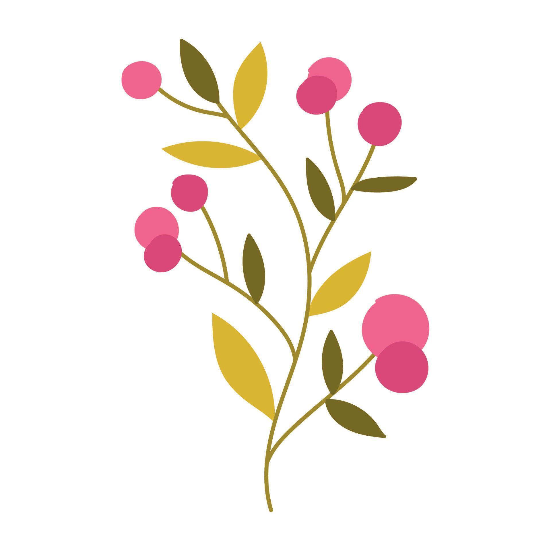 branch berries tree 16990757 Vector Art at Vecteezy