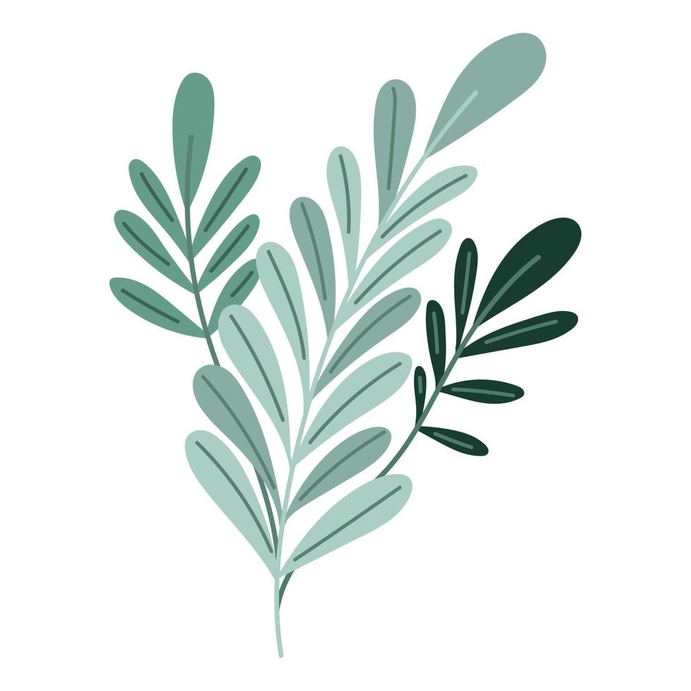 leaves foliage icon vector