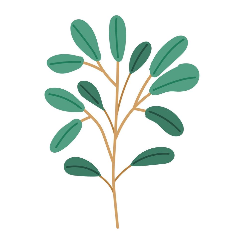 foliage leaves icon vector