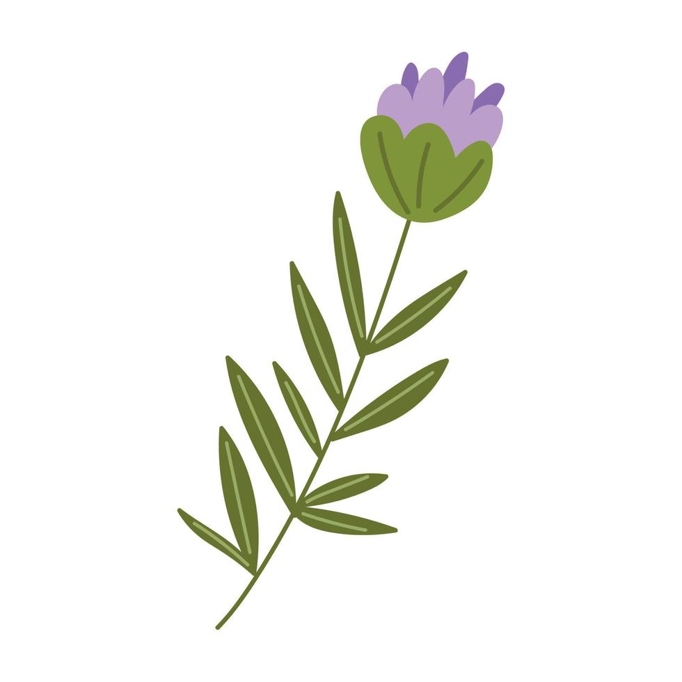 violet flowers icon vector