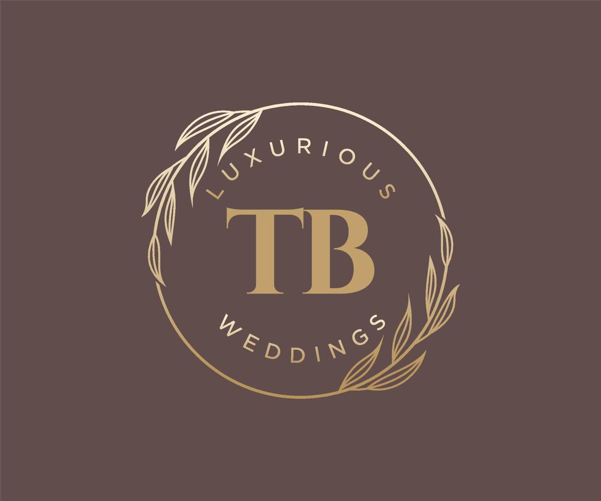 TB Initials letter Wedding monogram logos template, hand drawn modern minimalistic and floral templates for Invitation cards, Save the Date, elegant identity. vector