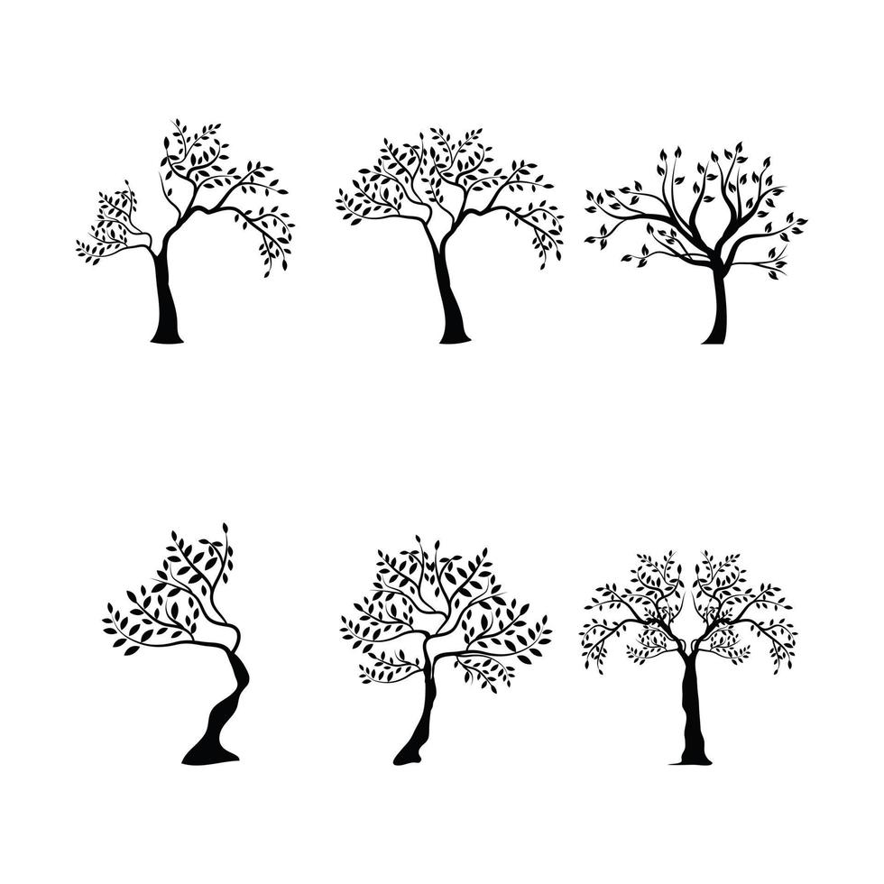 Set Of Different Trees Vector