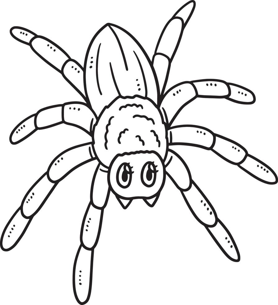 Mother Spider Isolated Coloring Page for Kids vector