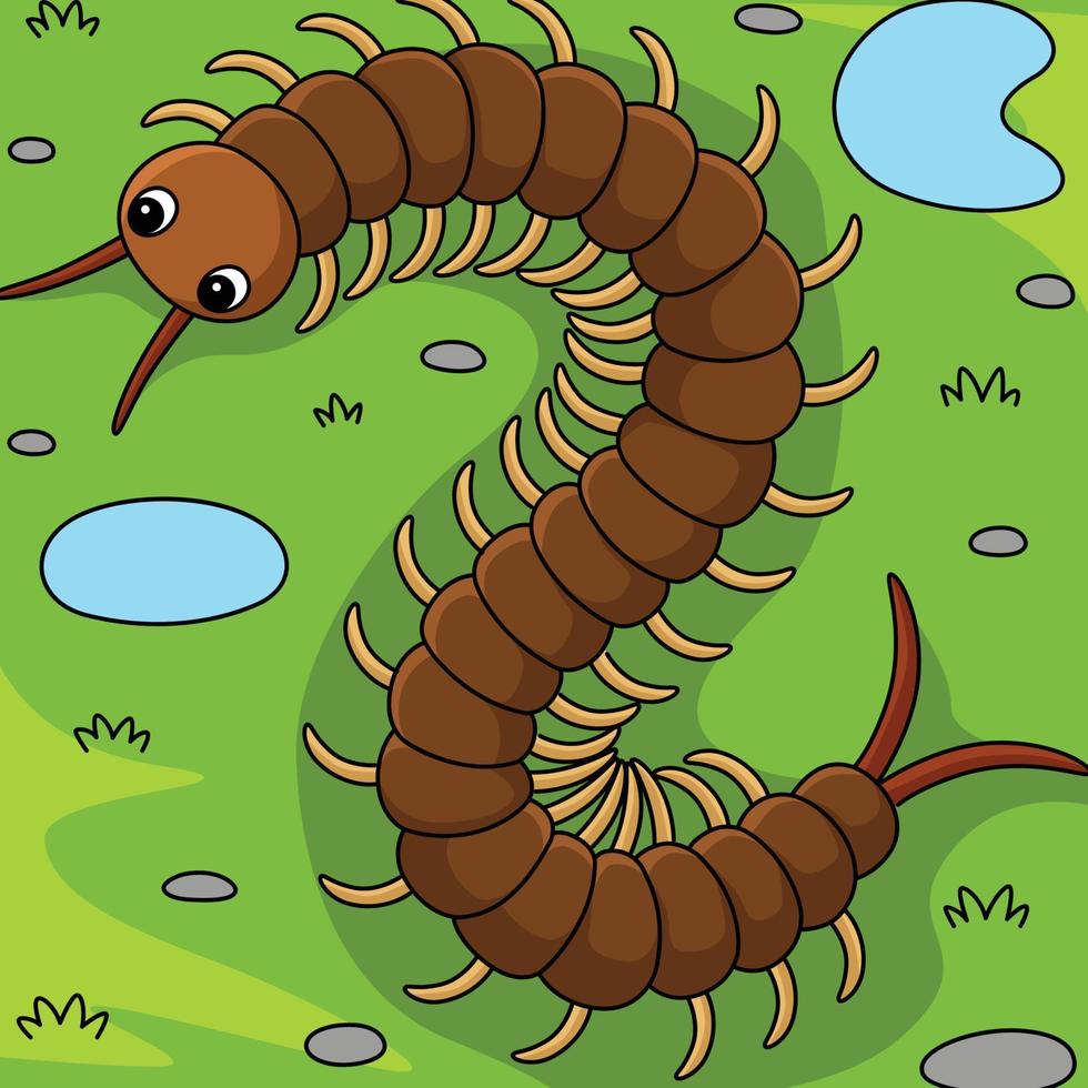 Centipede Animal Colored Cartoon Illustration vector