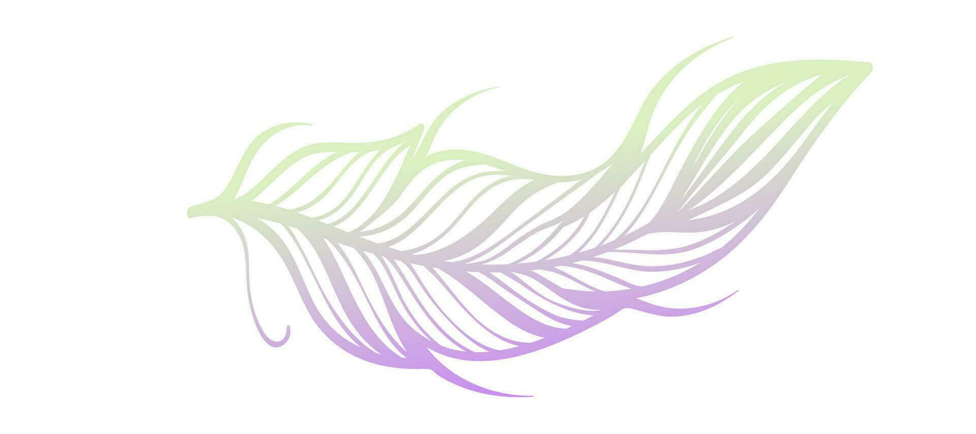 gradient feathers outline white background Design Wallpaper Vector