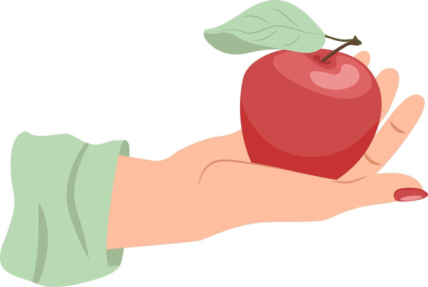 hermosa mano femenina sosteniendo manzana roja en la palma abierta aislada en fondo blanco vector