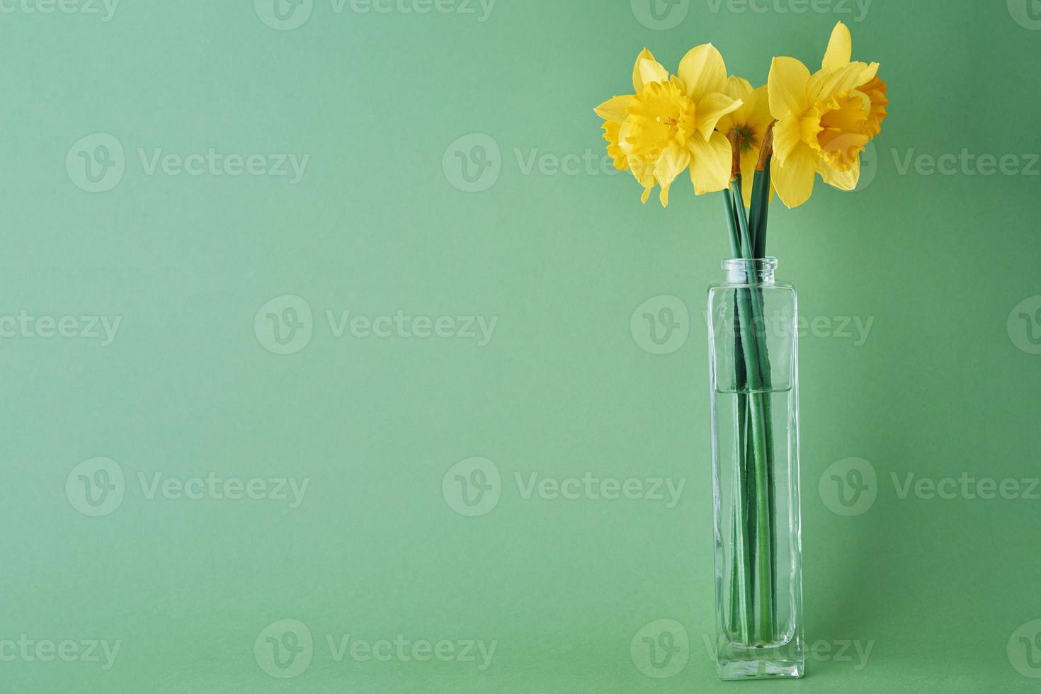Narcissus flowers in vase on green background photo