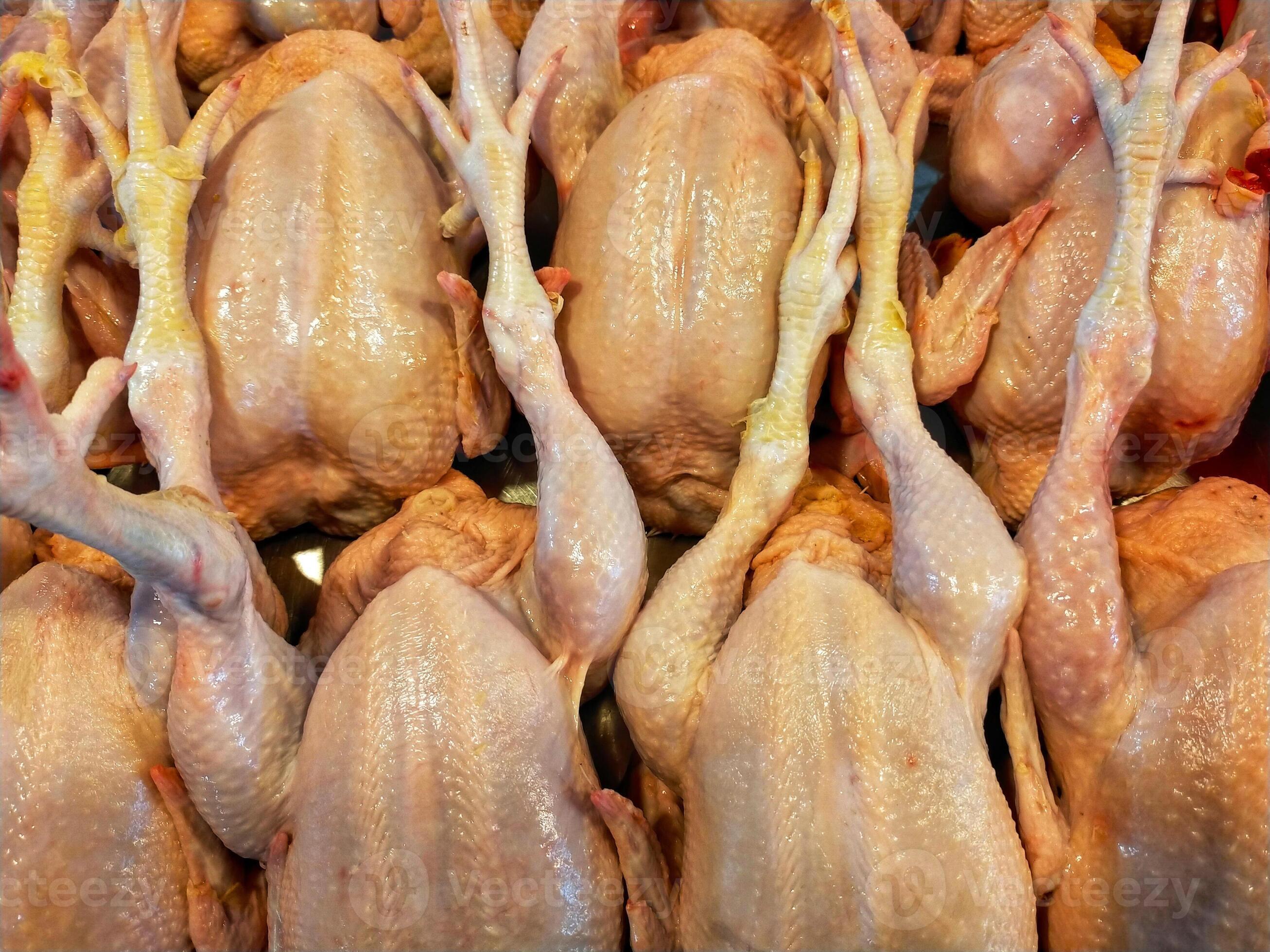 Whole chicken meat at the display at the market for sale. 17008624