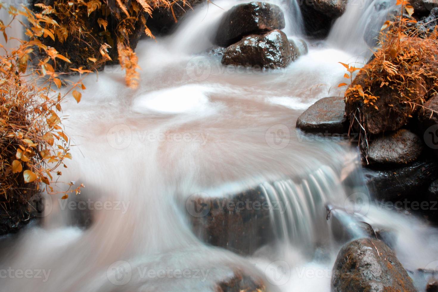 The beauty of a stream flowing in a rural area in Bali. photo