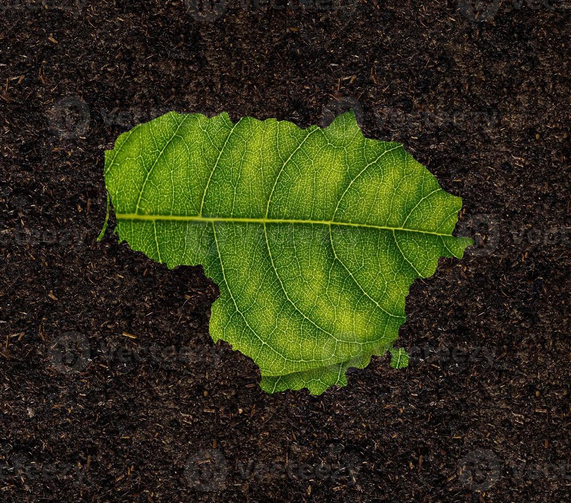 Lithuania map made of green leaves on soil background ecology concept photo