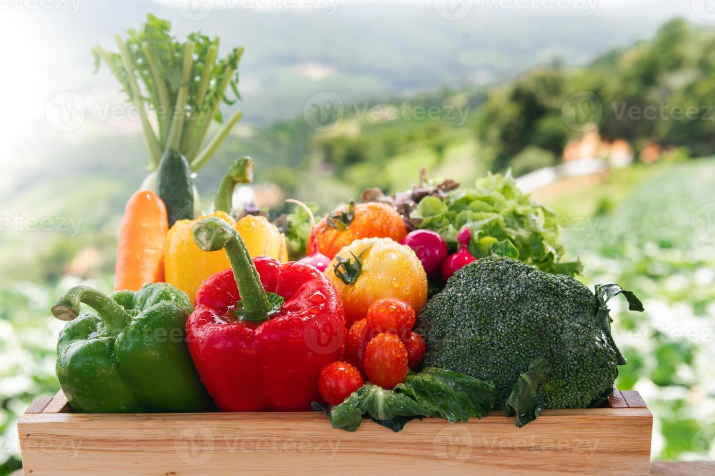 caja de madera llena de verduras orgánicas frescas foto