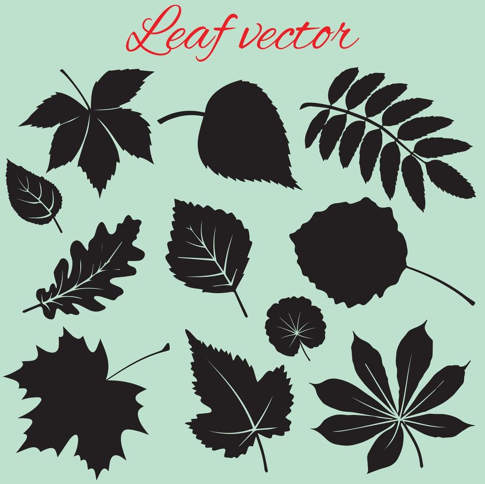 conjunto de colección de hojas. conjunto de siluetas de hojas. vector