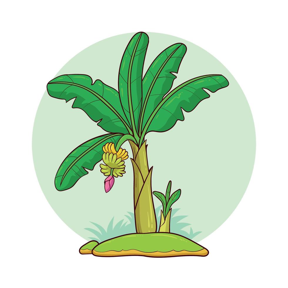 hand drawn banana tree vector