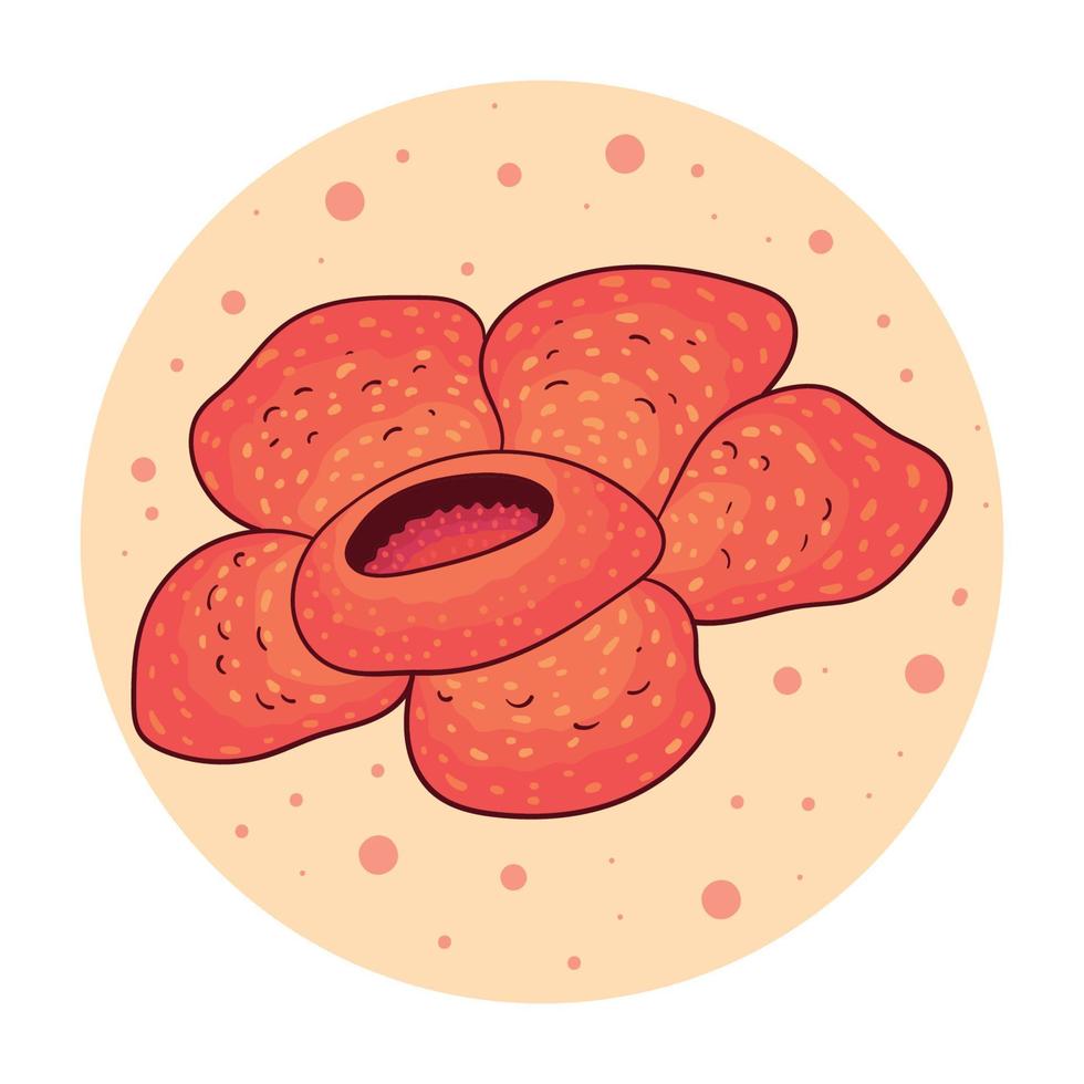 hand drawn rafflesia arnoldii flower vector