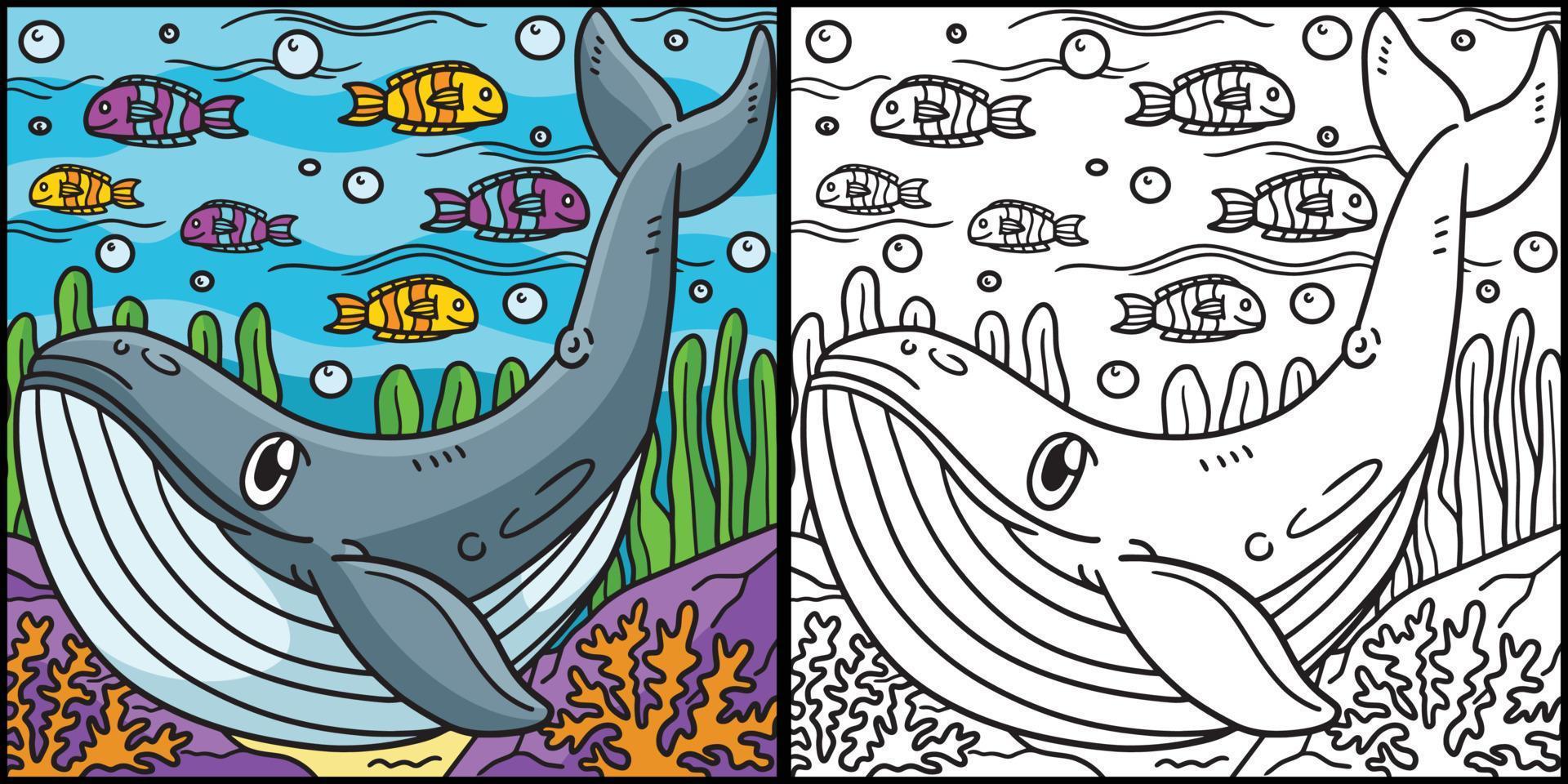 Blue Whale Coloring Page Colored Illustration vector