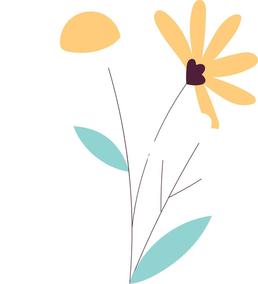 Flowers with leaves bouquet. vector
