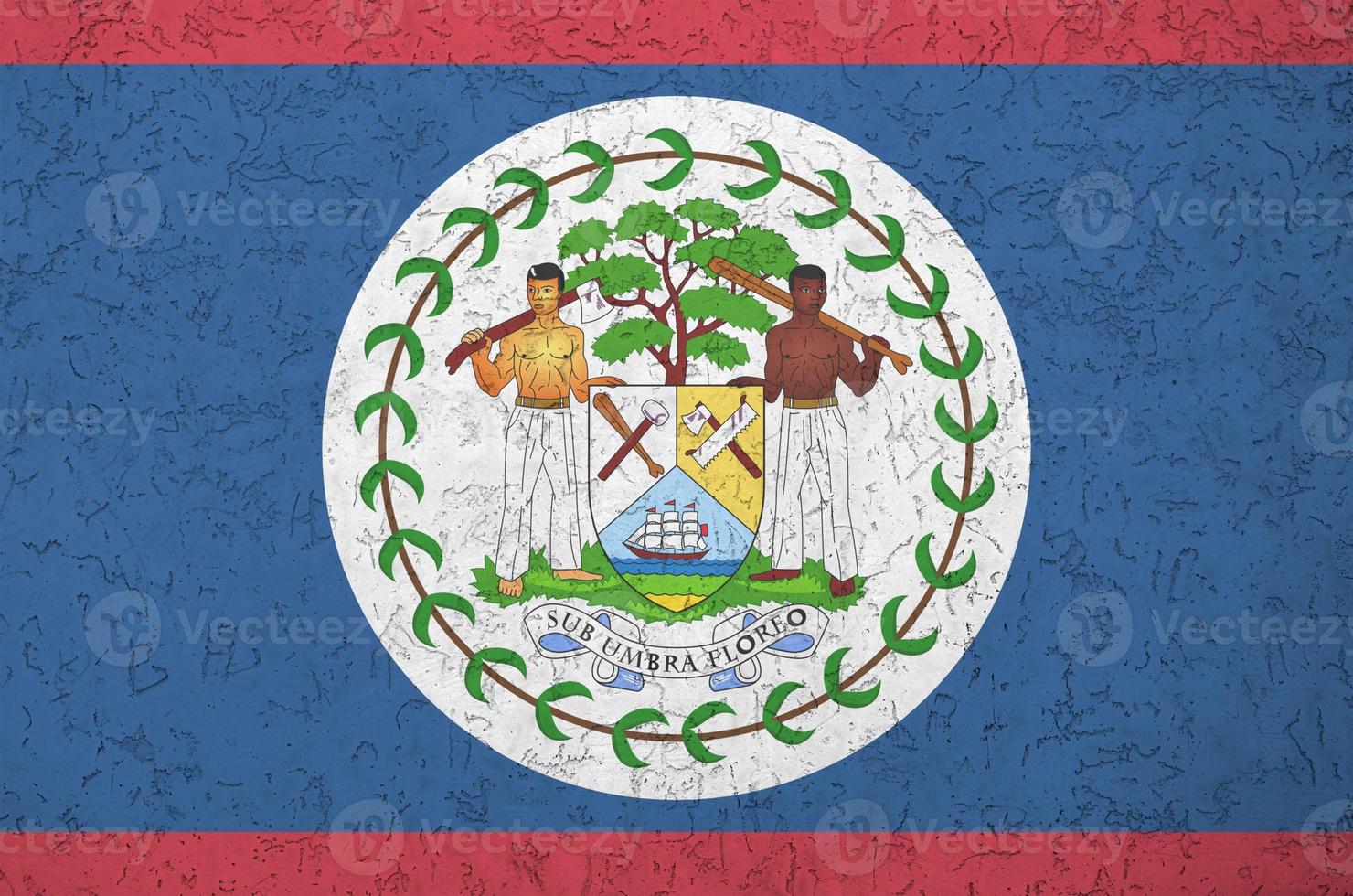 Belize flag depicted in bright paint colors on old relief plastering wall. Textured banner on rough background photo