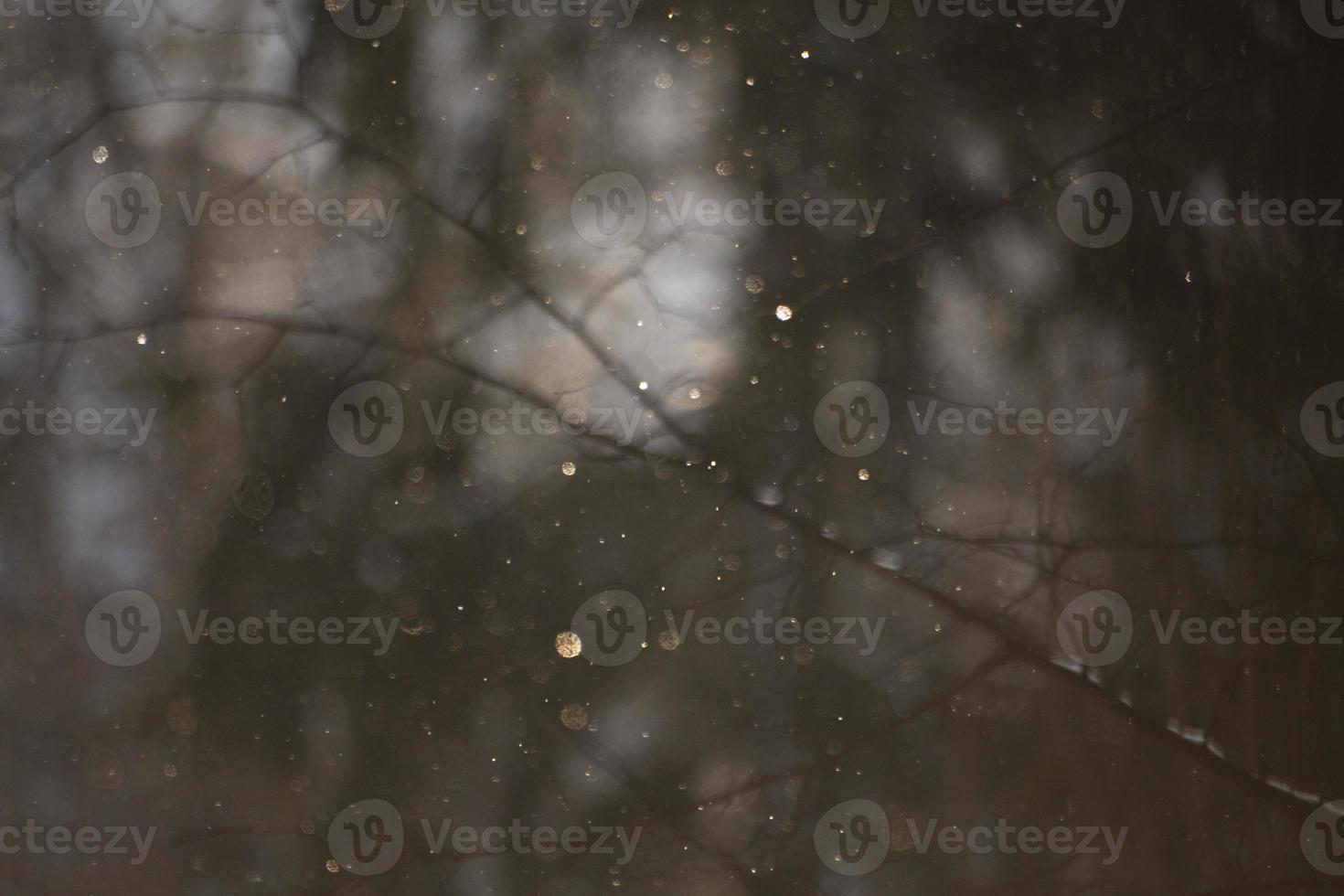 Beautiful snow in detail. Winter background. Snowflake texture. photo