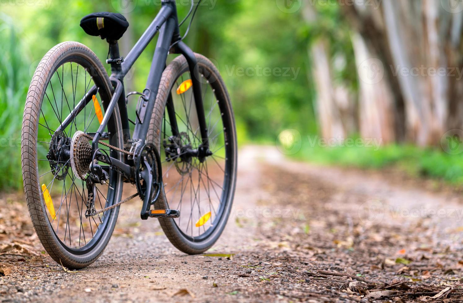 viaje en bicicleta de montaña con un hermoso camino de transporte rural en el fondo del bosque natural para viajar y relajarse foto