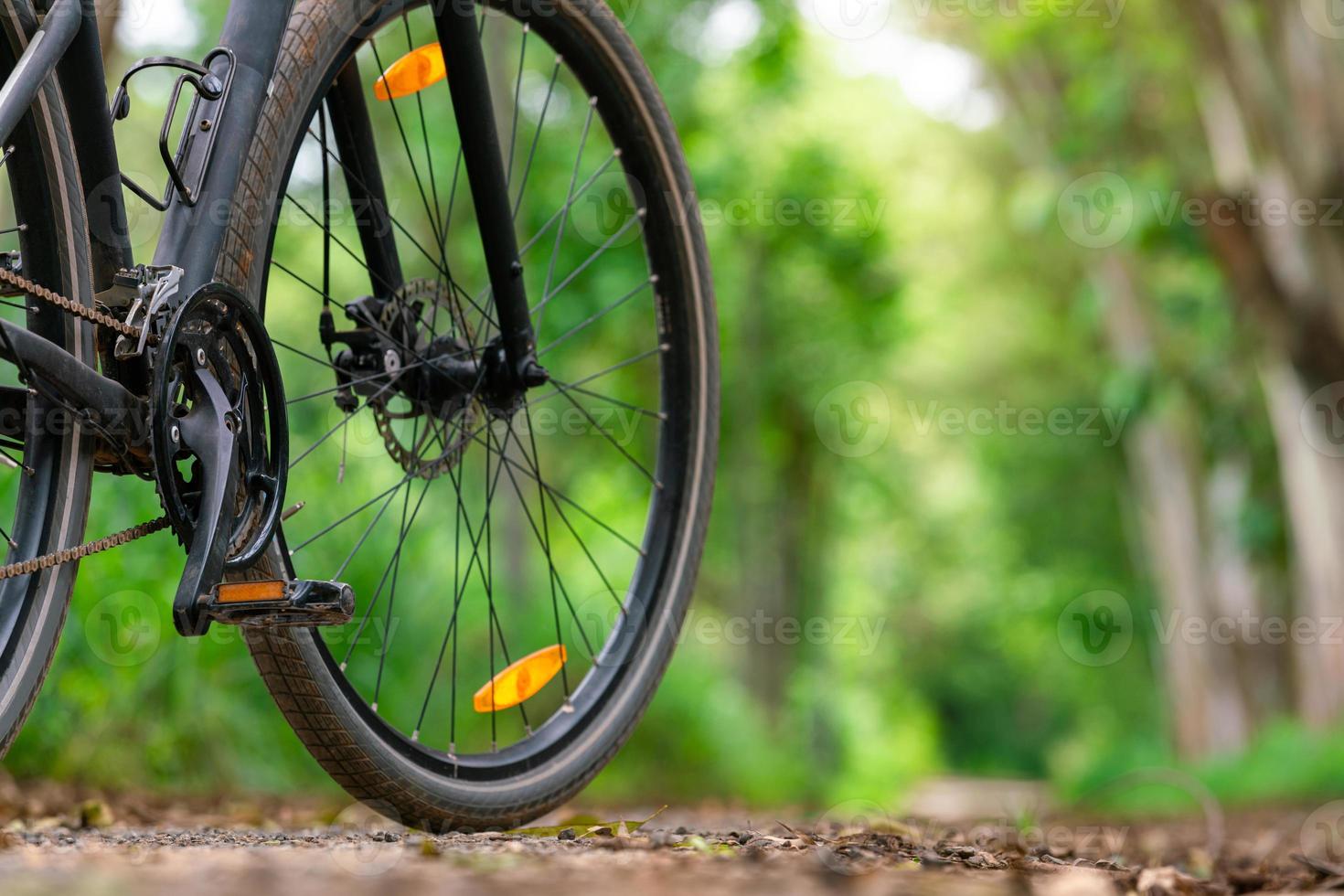 mountain bicycle bike trip with beautiful countryside transportation road in nature forest background for travel and relax photo