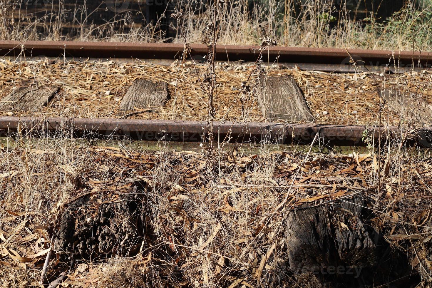 Fragments of the old railway from Haifa to Damascus. photo