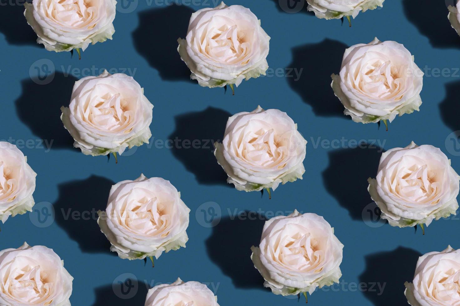Roses flowers bud pattern on turquoise background photo
