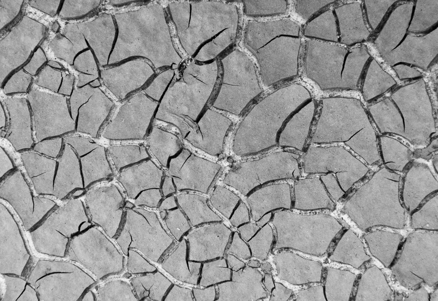 Close up weathered texture of arid cracked ground photo