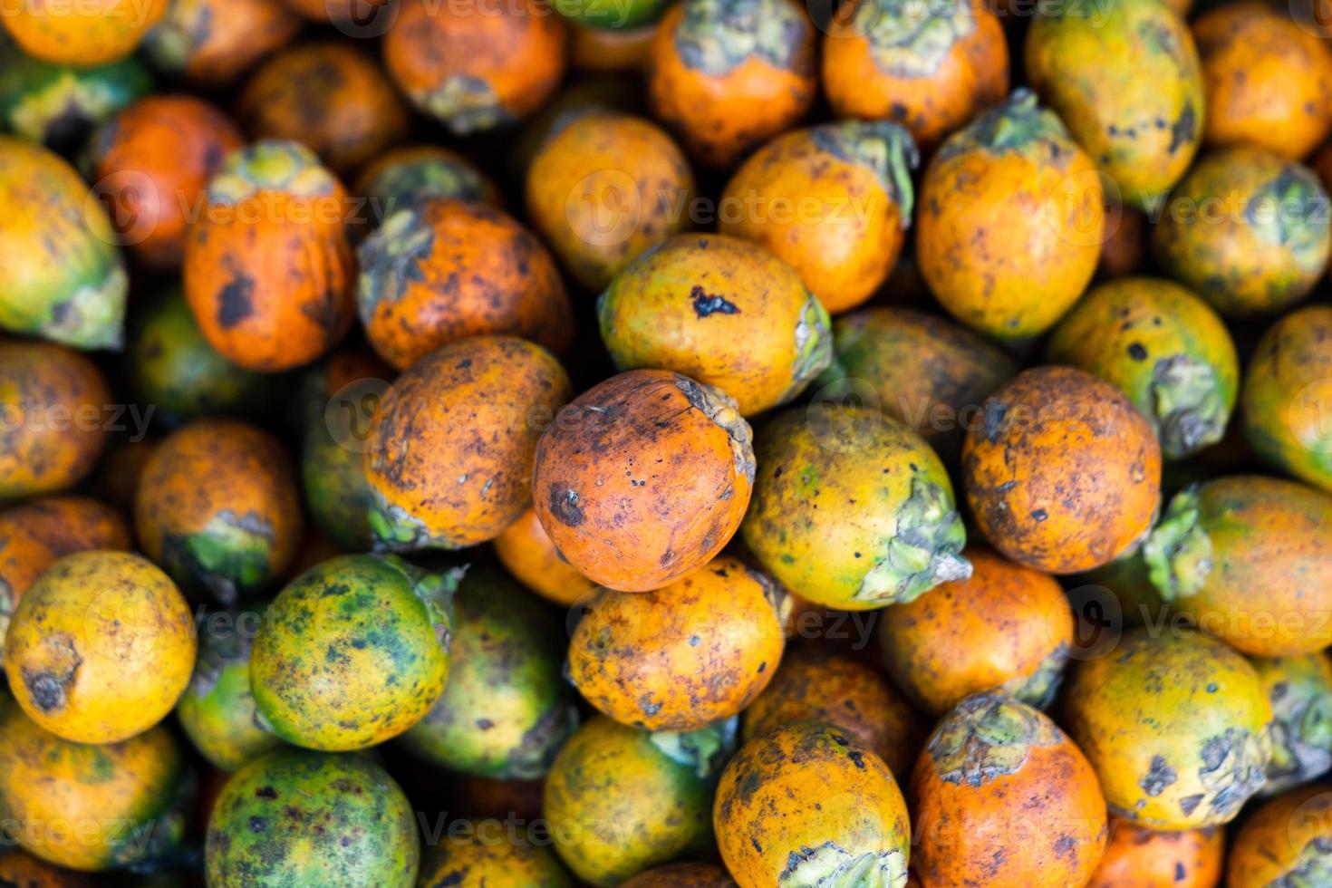 Cut betel nut or Areca nut photo