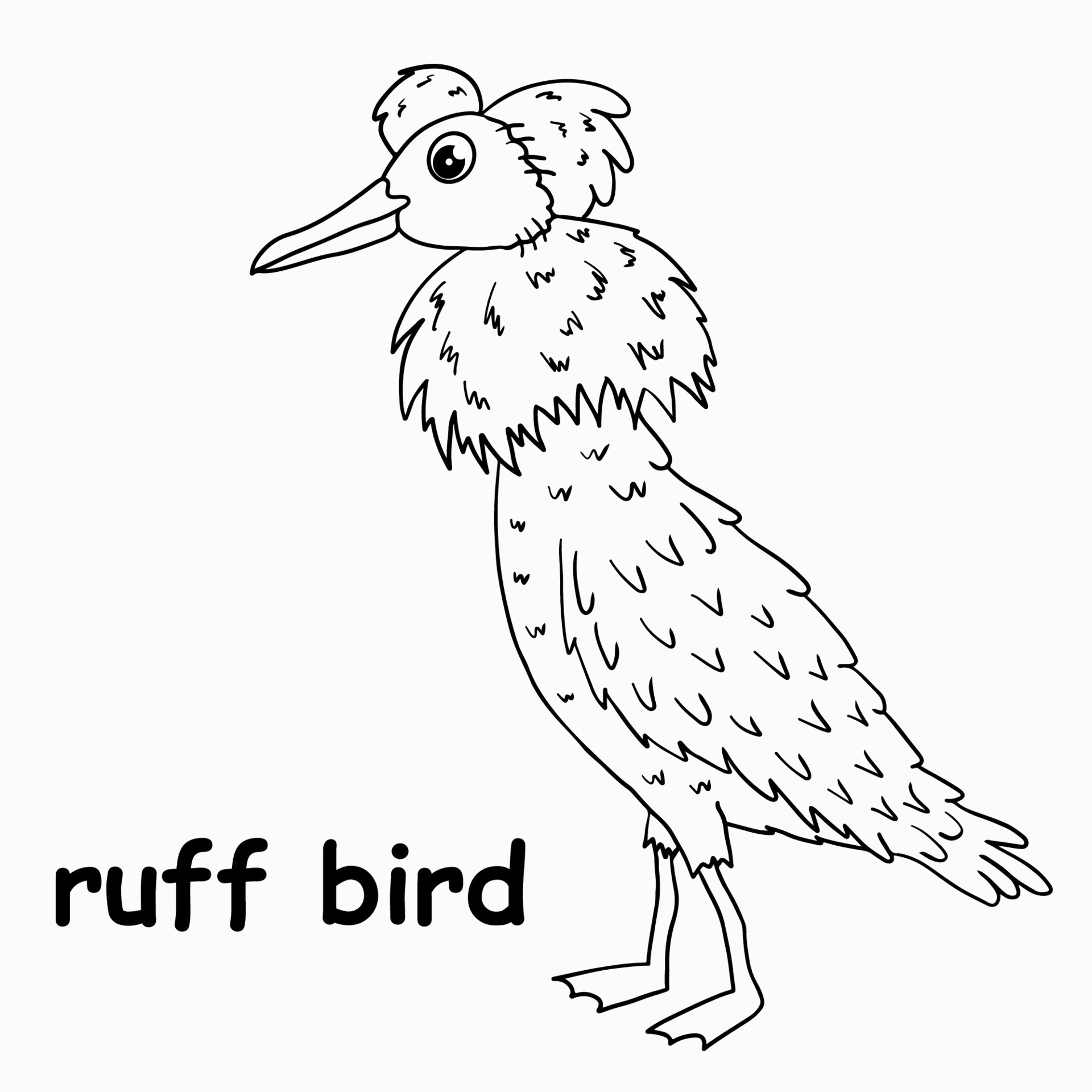 kids line illustration coloring ruff bird. outline vector for children.  cute cartoon characters 17022596 Vector Art at Vecteezy