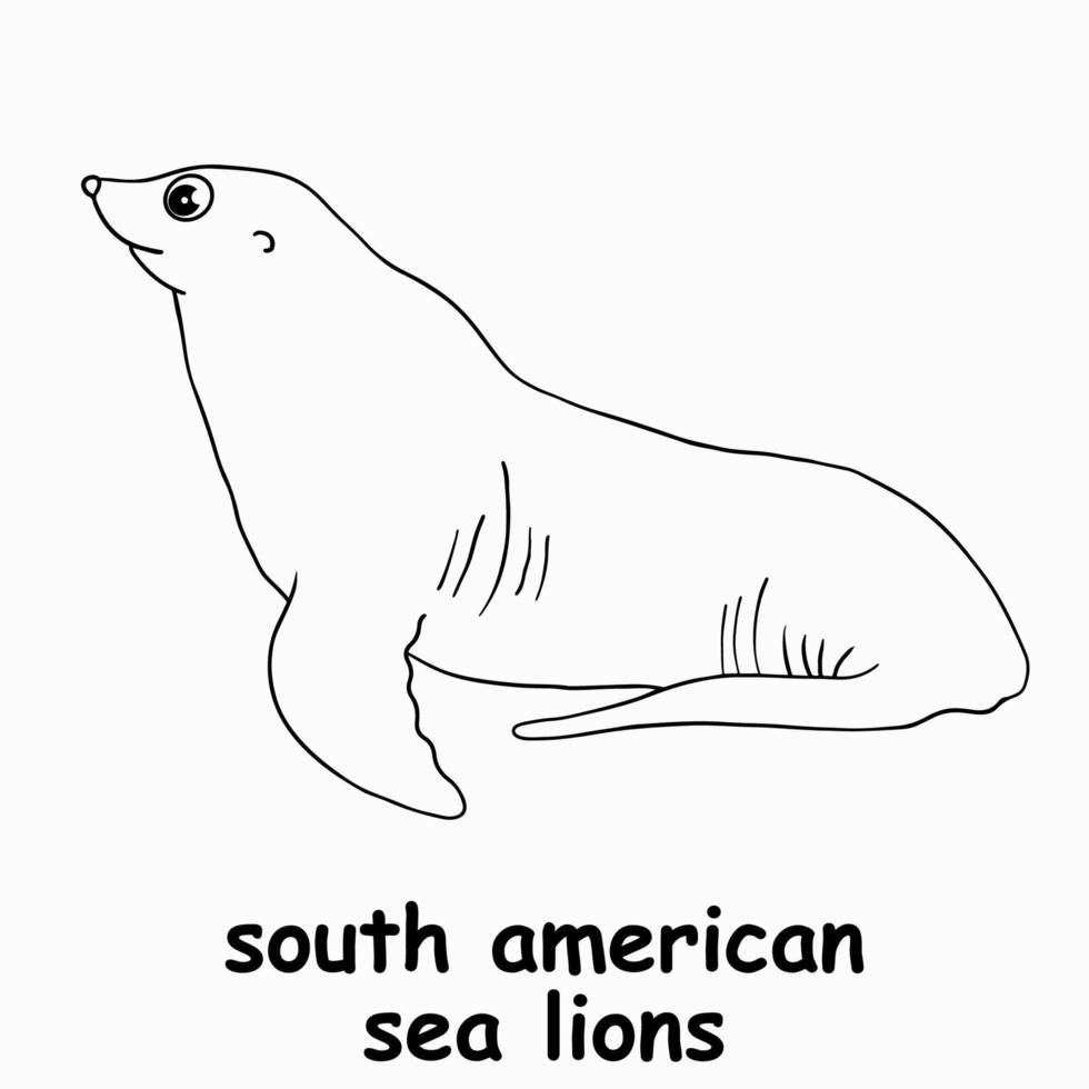 niños línea ilustración coloreando leones marinos sudamericanos. vector de contorno para niños. ilustración vectorial en blanco y negro para colorear libro
