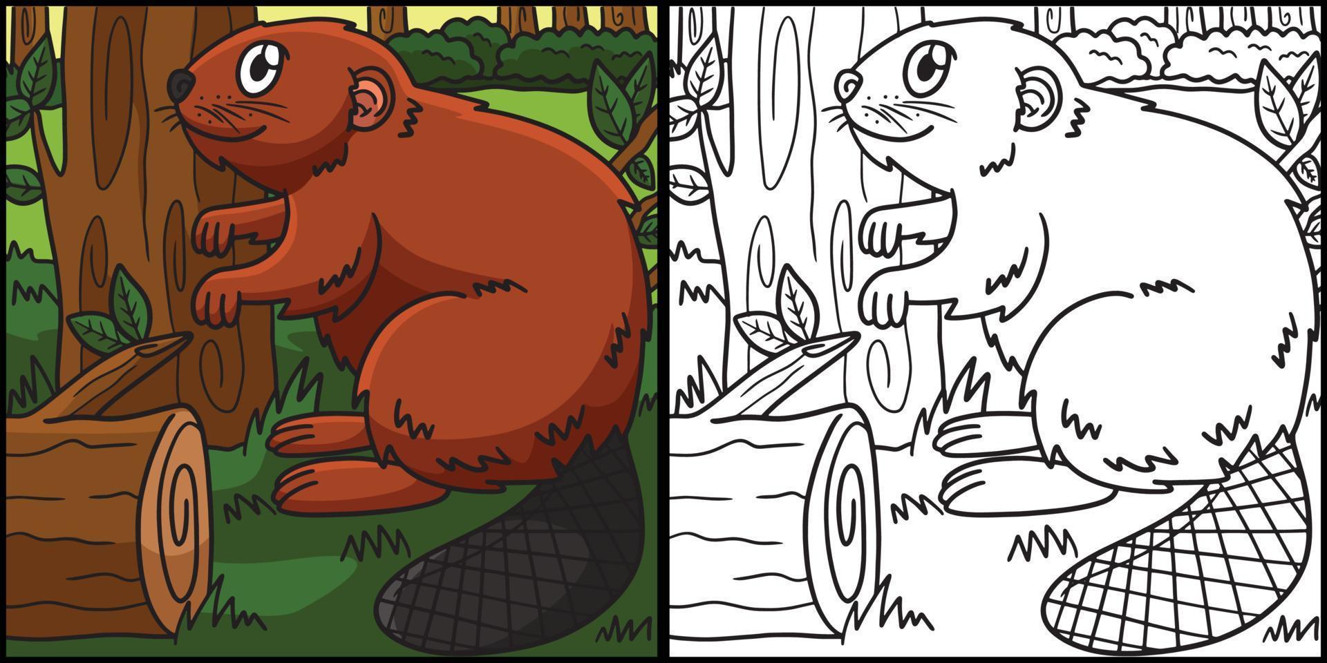 Beaver Coloring Page Colored Illustration vector