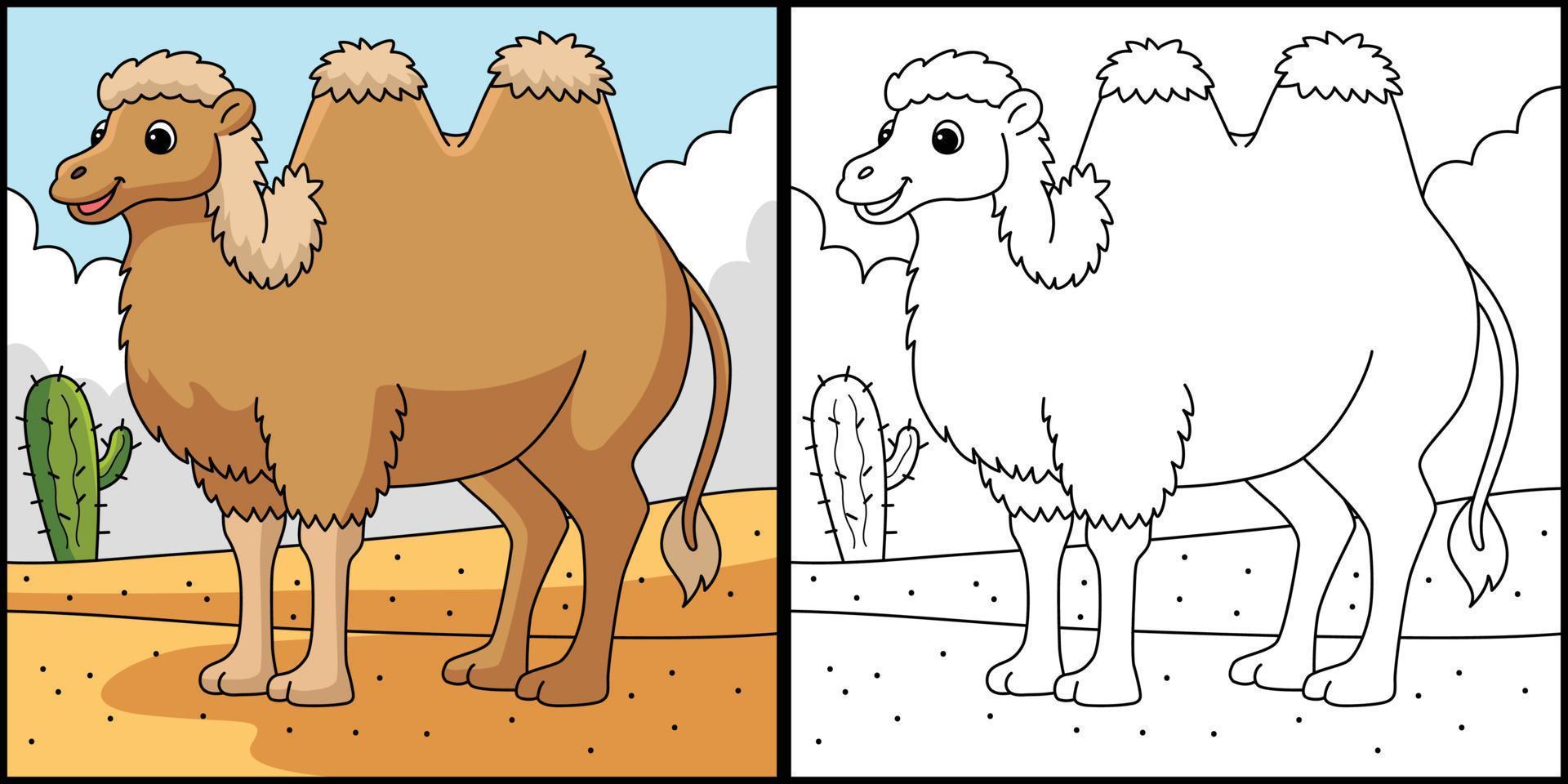 Bactrian Camel Animal Coloring Page Illustration vector