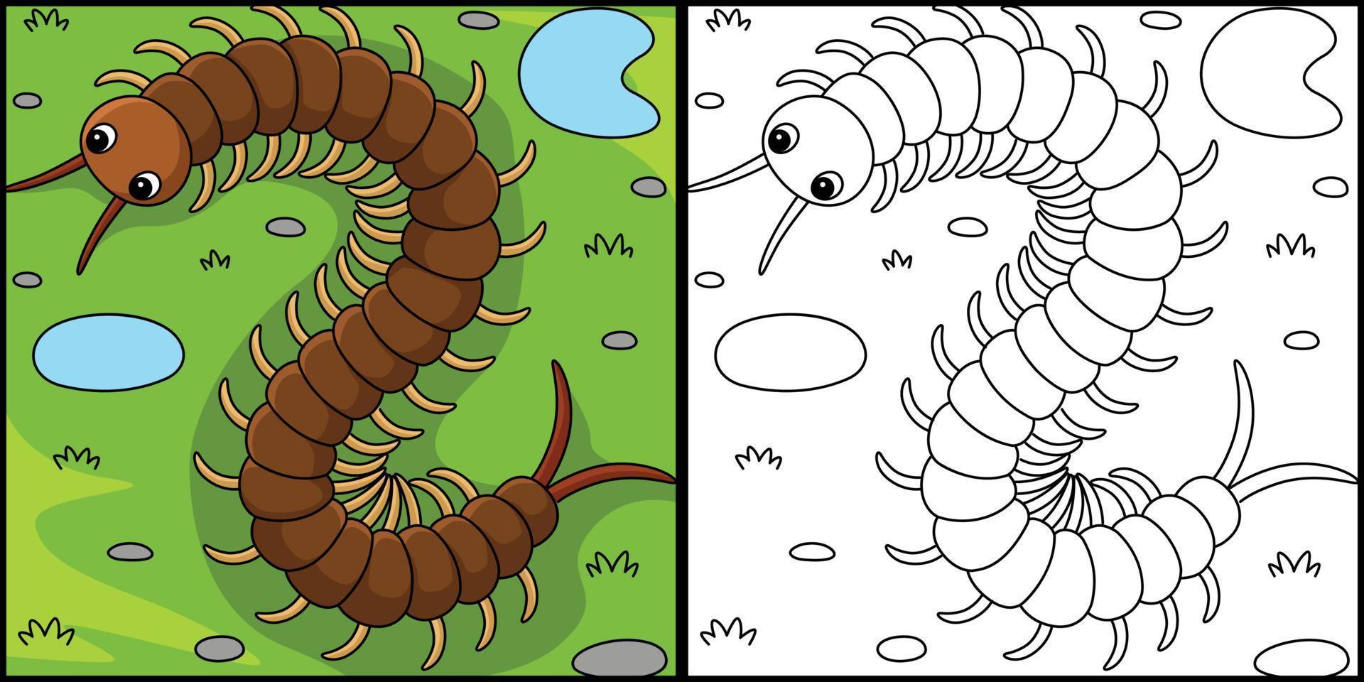 Centipede Animal Coloring Page Illustration vector