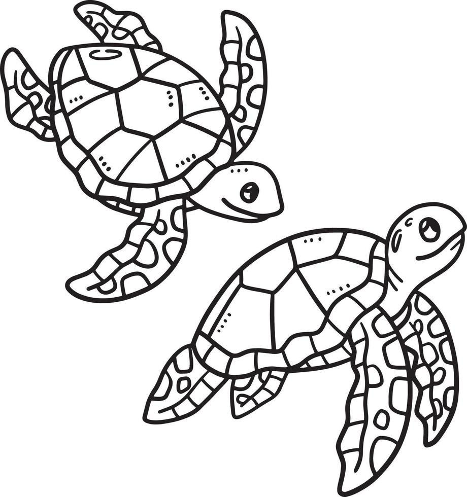 tortuga bebé aislada página para colorear para niños vector