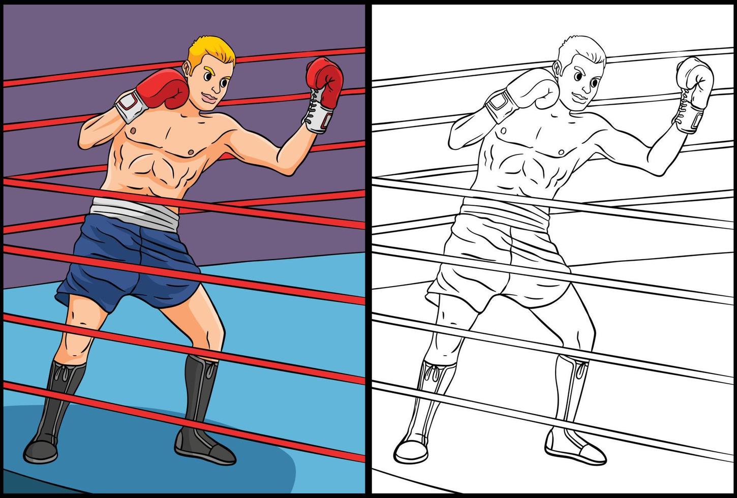 ilustración coloreada de la página para colorear de boxeo vector