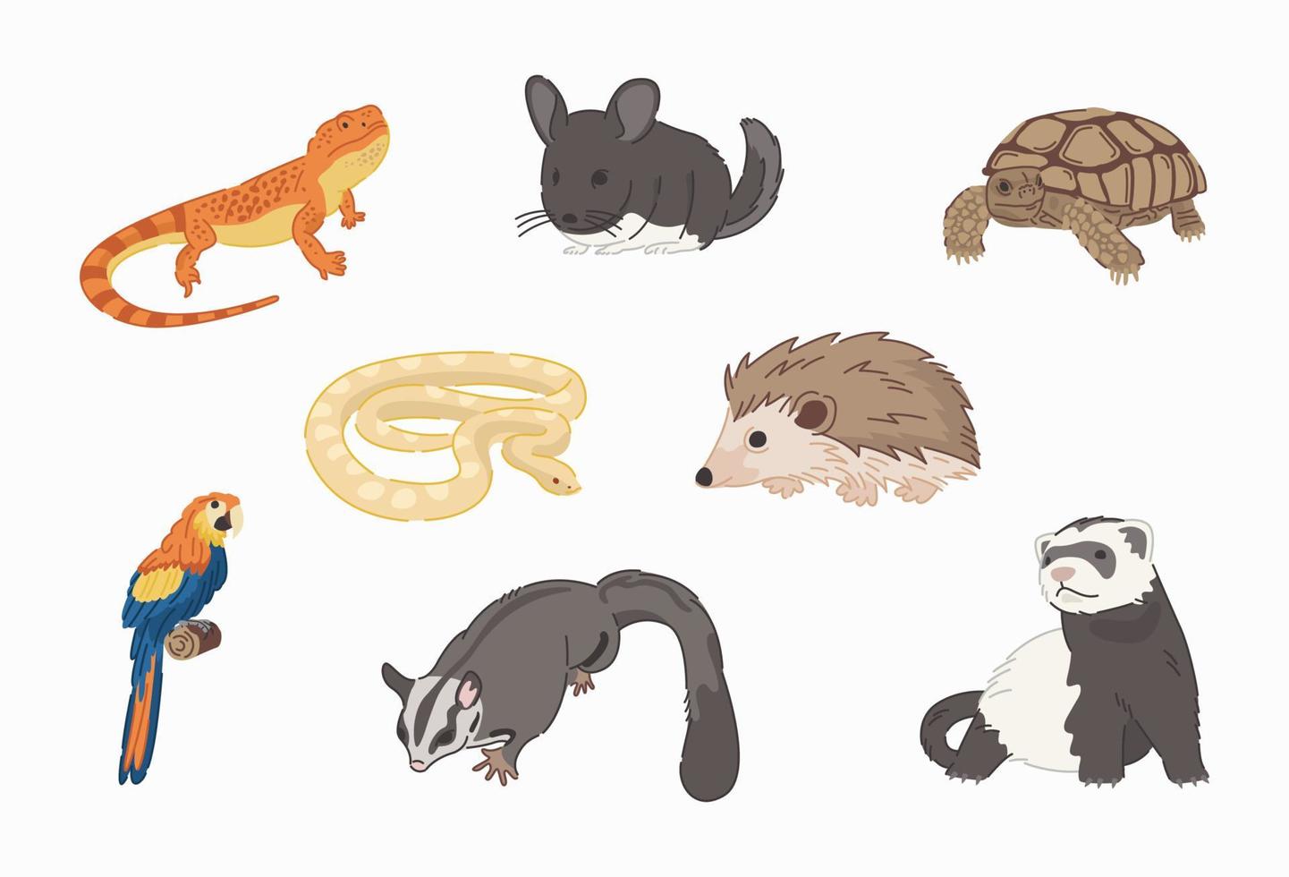 Pets vector in flat design