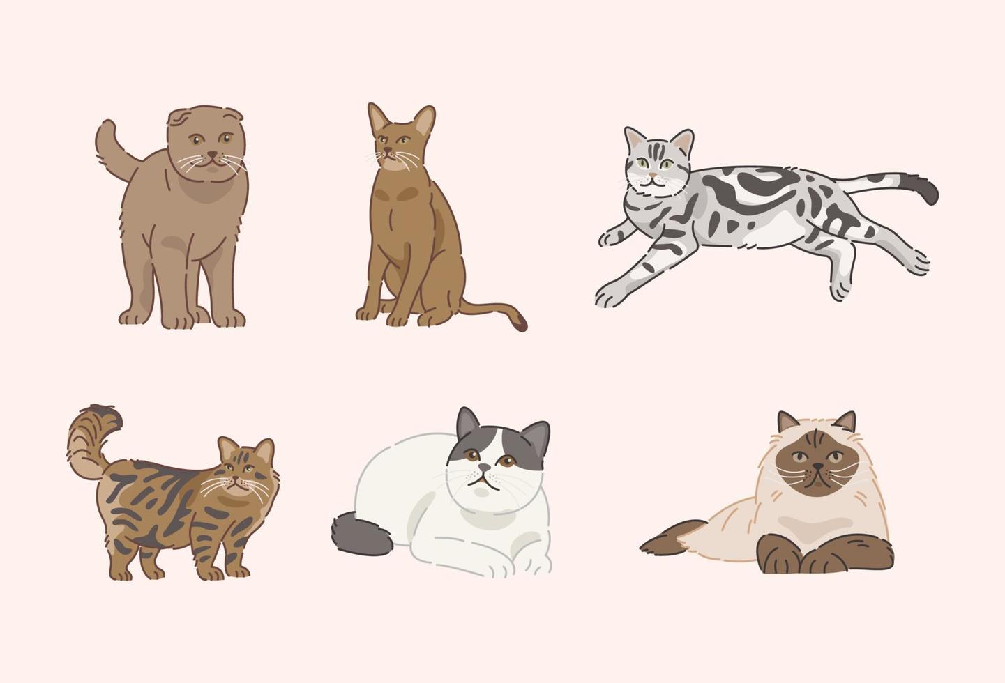 Cute Cats in flat design vector