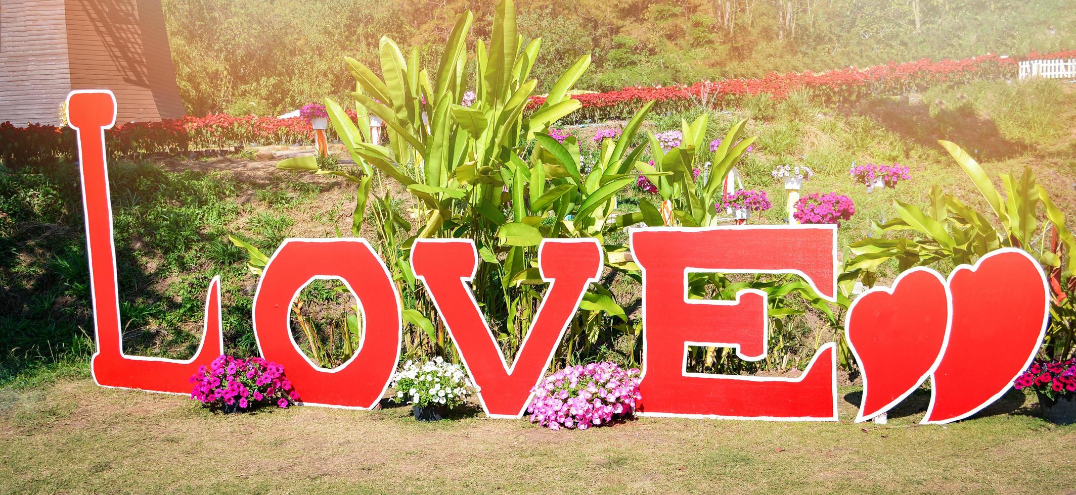 etiqueta de signo de amor de texto en el jardín de amor para el telón de fondo tomar fotos con fondo de flores en el día de san valentín