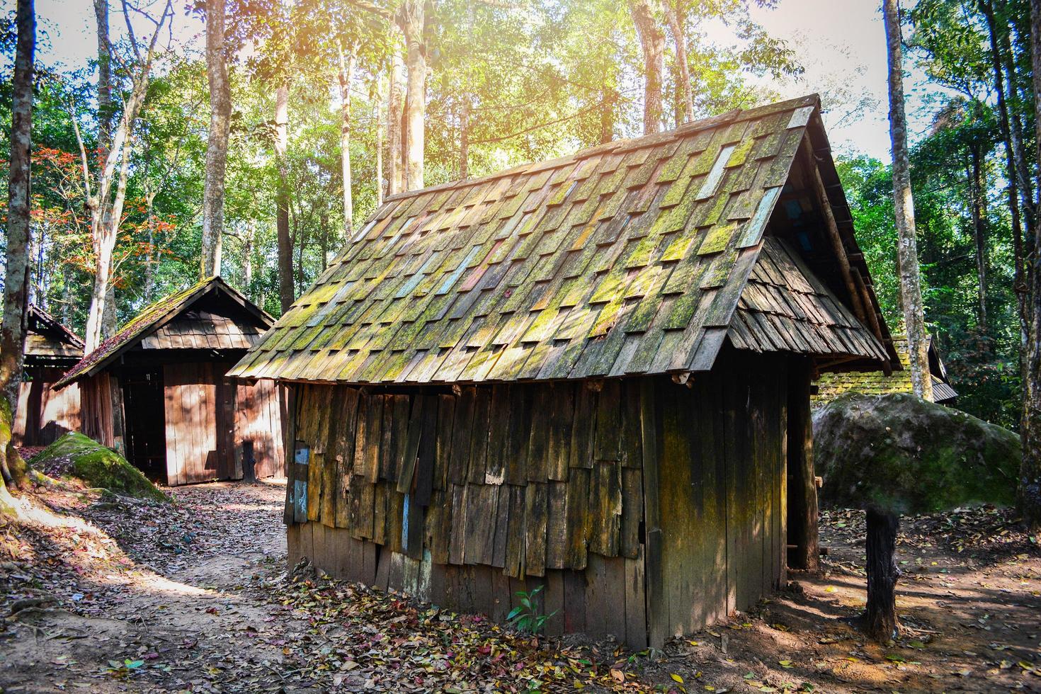 Old historic village wooden house cabin cottage in the green forest with tree surround photo