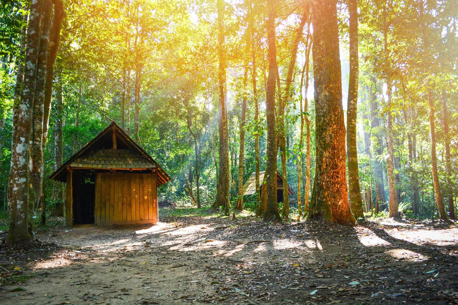 antiguo pueblo histórico casa de madera cabaña cabaña en el bosque verde con árboles alrededor foto