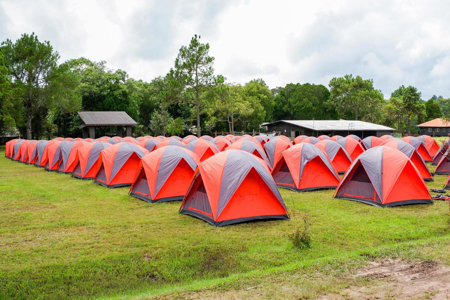 Camping tent colorful stand in a line with pine tree background in the area tent park photo