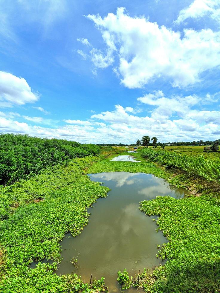 Beautiful rural view of Bangladesh. Shiny weather, channel with fresh green grass. photo