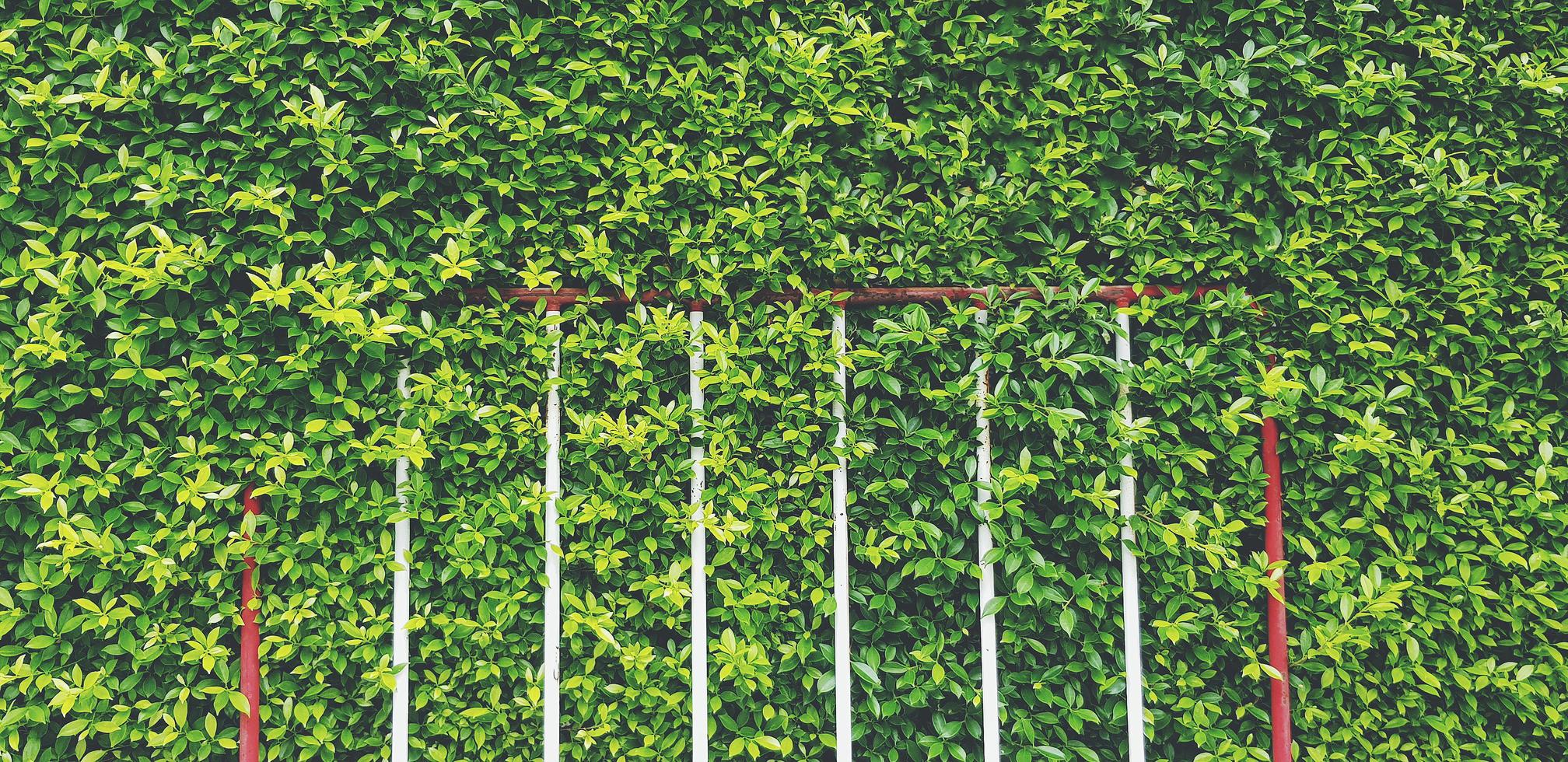 Red and white traffic with green leaves background with copy space in vintage tone. Close up object for not allow vehicle parked this area.  Strict place and Natural wall photo