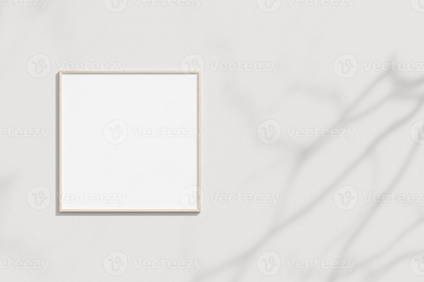 Empty frame on the white wall with branches shadow photo