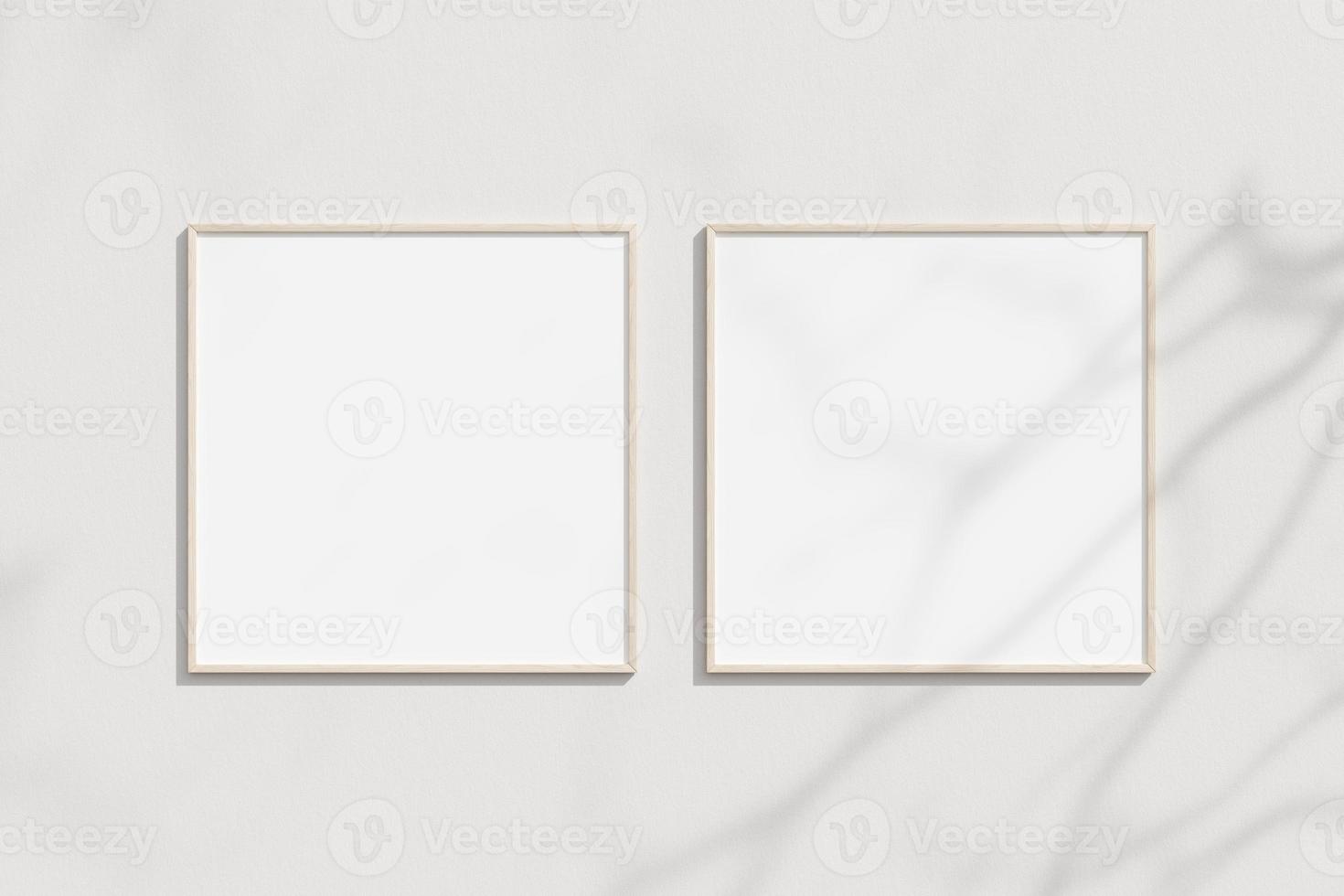 Empty frame on the white wall with branches shadow photo