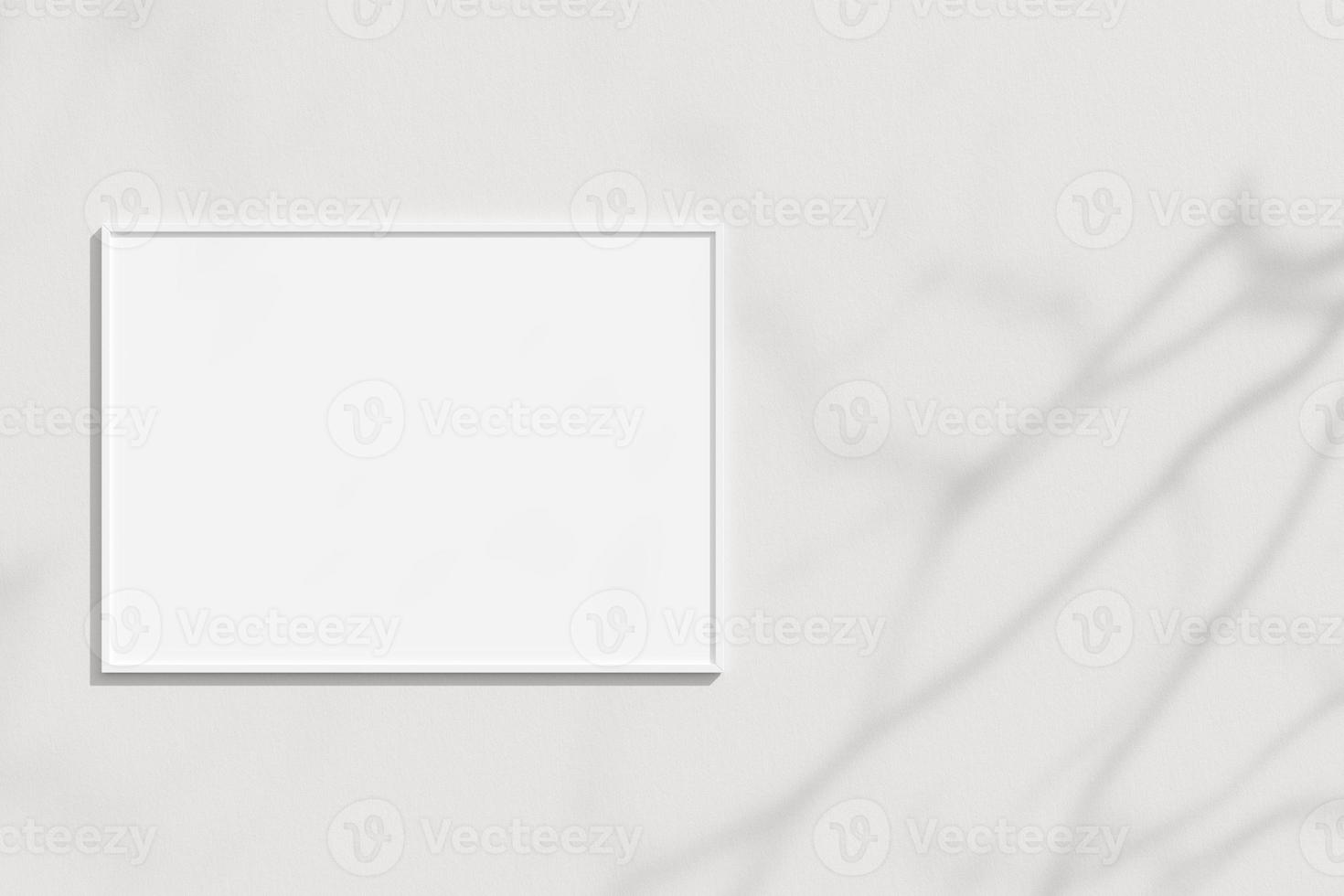 Empty frame on the white wall with branches shadow photo