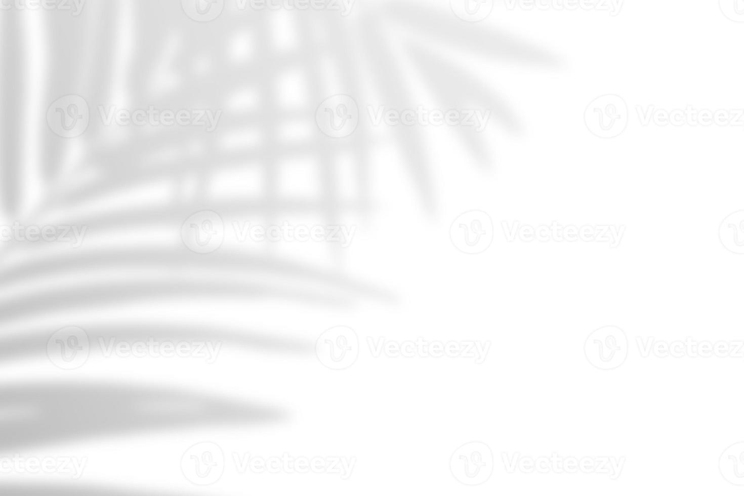 Window natural shadow overlay effect on white texture background, for overlay on product presentation, backdrop and mockup photo