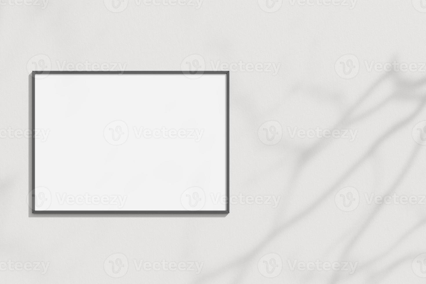 Empty frame on the white wall with branches shadow photo