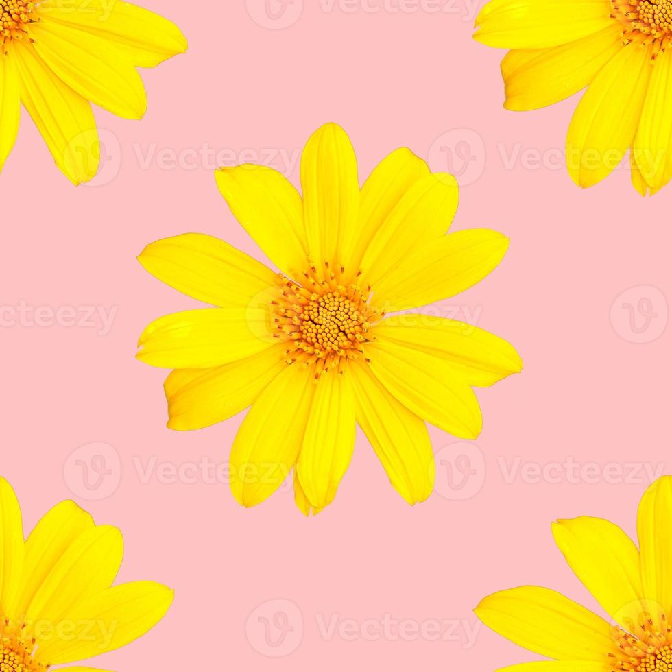 pattern of yellow flowers for summer photo